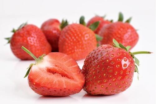 Jahodník jednouplodící 'Rumba' - Fragaria ananassa 'Rumba'