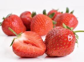 Jahodník jednouplodící 'Rumba' - Fragaria ananassa 'Rumba'