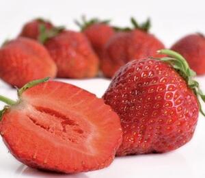 Jahodník jednouplodící 'Korona' - Fragaria ananassa 'Korona'
