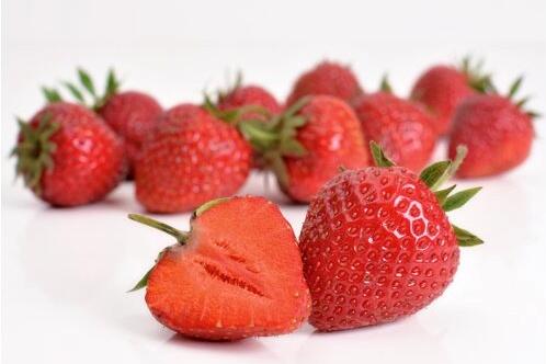 Jahodník jednouplodící 'Elvíra' - Fragaria ananassa 'Elvíra'