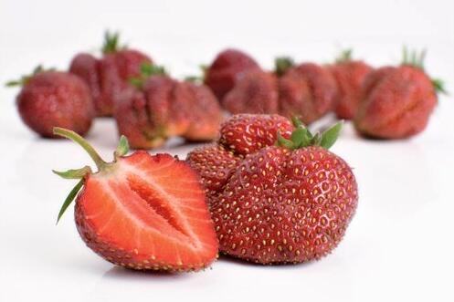 Jahodník jednouplodící 'Karmen' - Fragaria ananassa 'Karmen'