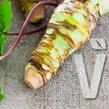 Wasabi 'Mephisto Green' - Wasabia japonica 'Mephisto Green'