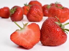 Jahodník jednouplodící 'Elsanta' - Fragaria ananassa 'Elsanta'