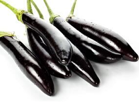 Lilek vejcoplodý 'Gobi' - Solanum melongena 'Gobi'