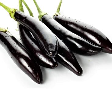 Lilek vejcoplodý 'Gobi'