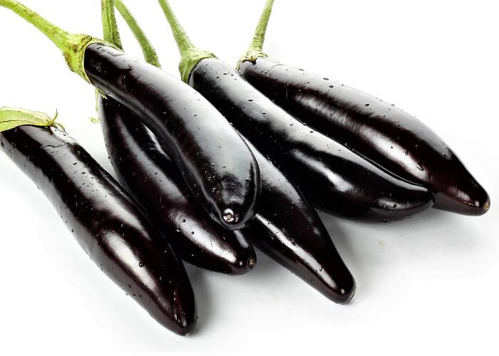 Lilek vejcoplodý 'Gobi' - Solanum melongena 'Gobi'