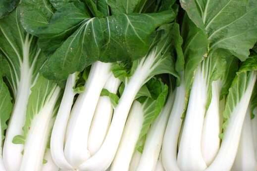 Zelí čínské 'Pak Choi' - Brassica chinensis 'Pak Choi'