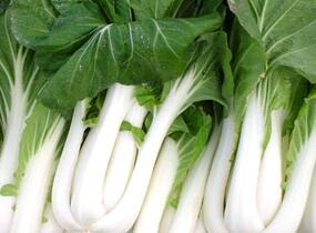 Zelí čínské 'Pak Choi' - Brassica chinensis 'Pak Choi'