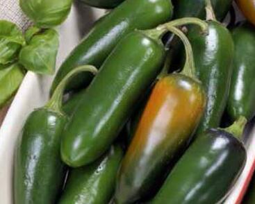 Paprika chilli 'Jalapeňo'