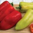 Paprika polní 'PCR' - Capsicum annuum 'PCR'