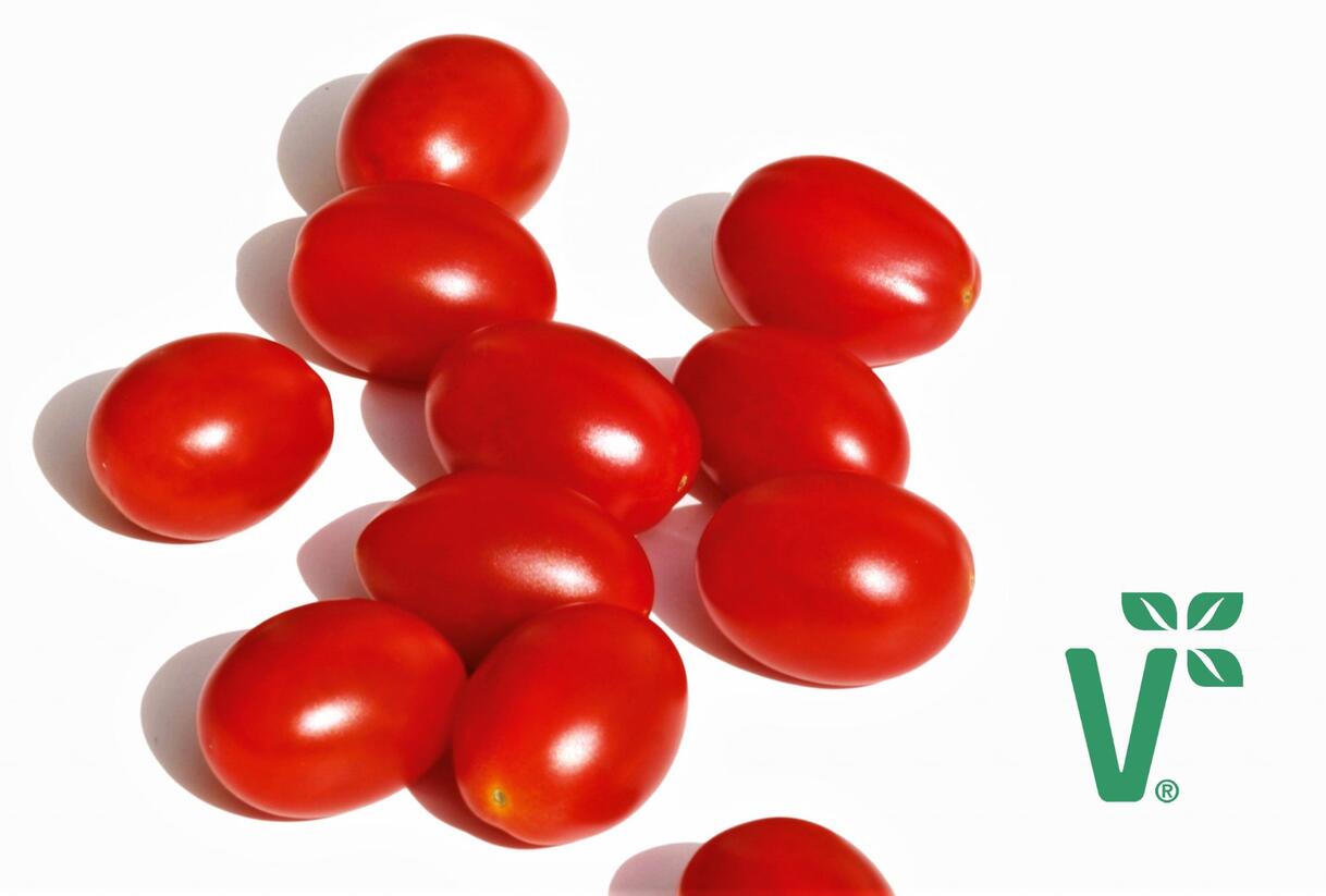 Rajče tyčkové F1 'Mirado Red' - Lycopersicon esculentum 'Mirado Red'