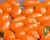 Rajče tyčkové F1 'Mirado Orange'