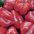 paprika-chilli-habanero-red.jpg
