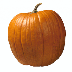 Tykev obecná 'Tom Fox' - Cucurbita pepo 'Tom Fox'