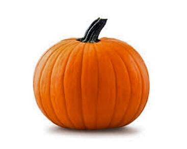 Tykev velkoplodá 'Jack O'Lantern'