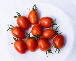 Rajče tyčkové datlové cherry 'Piccadilly'