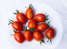 Rajče tyčkové datlové cherry 'Piccadilly' - Lycopersicon esculentum 'Piccadilly'