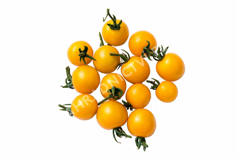 Rajče tyčkové 'Goldkrone' - cherry - Lycopersicon esculentum 'Goldkrone'