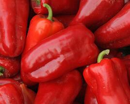 Paprika polní 'Rubinova'