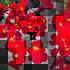 begonie-stalokveta-ledovka-voskovka-bronze-scarlet.jpg