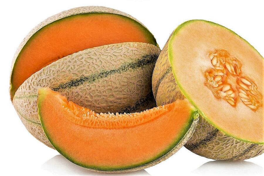 Meloun cukrový - roubovaný 'Anasta' - Cucumis melo 'Anasta' - roubovaný