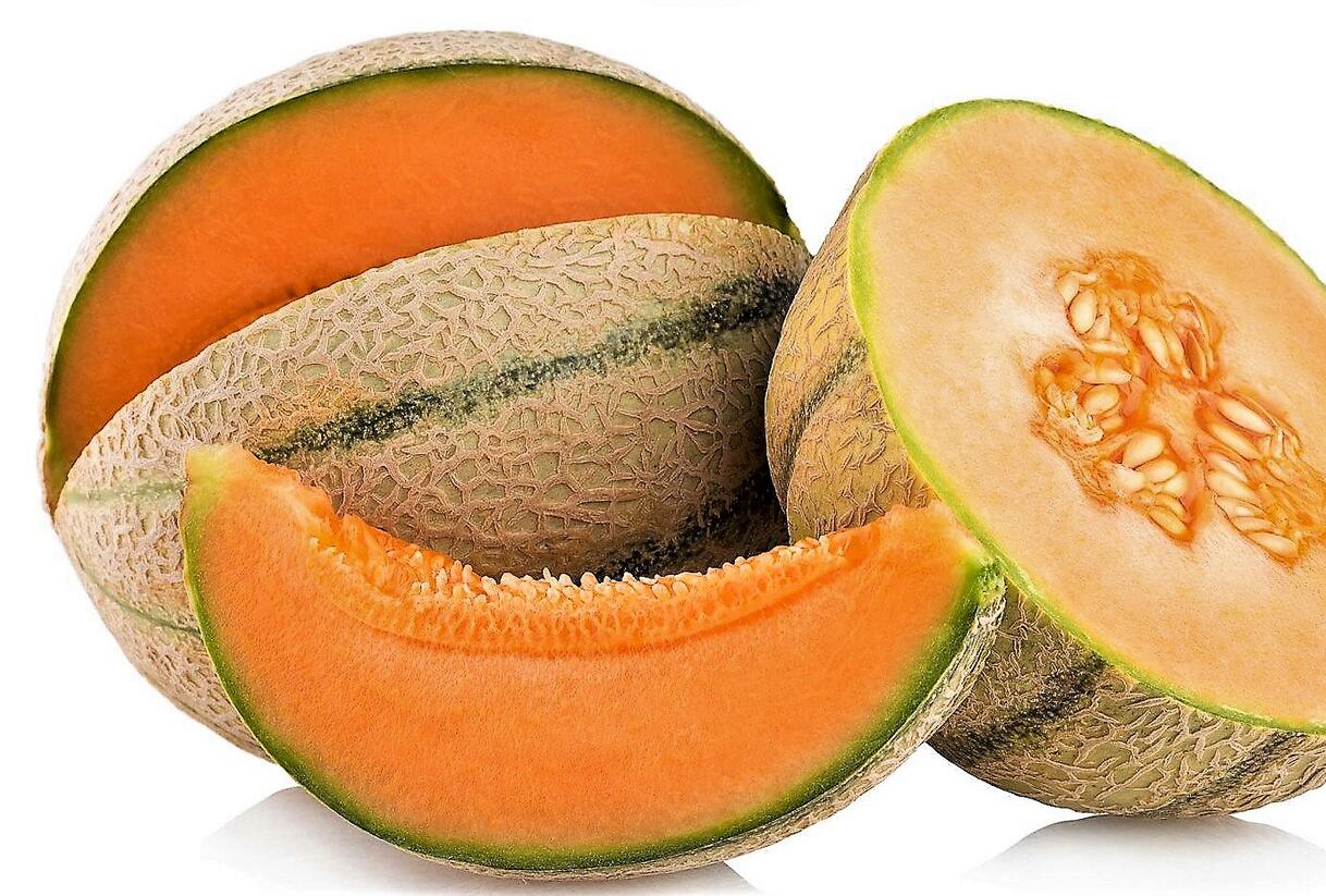 Meloun cukrový 'Anasta' - roubovaný - Cucumis melo 'Anasta' - roubovaný
