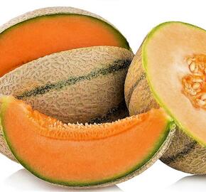 Meloun cukrový - roubovaný 'Anasta' - Cucumis melo 'Anasta' - roubovaný