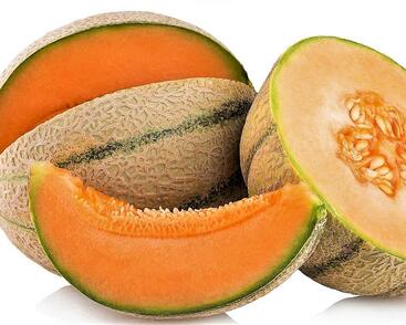 Meloun cukrový 'Anasta' - roubovaný