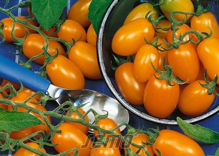 Rajče tyčkové 'Datlo' - datlové - Lycopersicon esculentum 'Datlo'