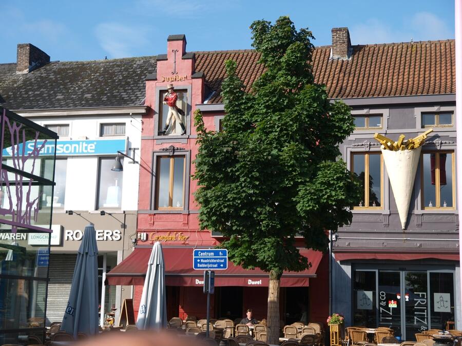 Javor mléč 'Columnare' - Acer platanoides 'Columnare'