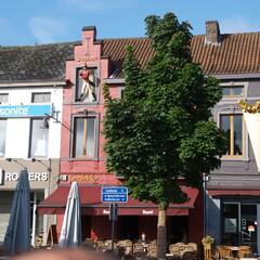 Javor mléč 'Columnare' - Acer platanoides 'Columnare'