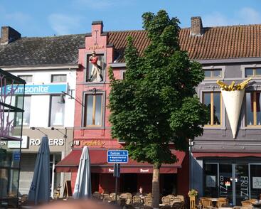 Javor mléč 'Columnare'