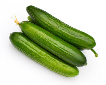 Okurka salátová polní 'Natalie' F1