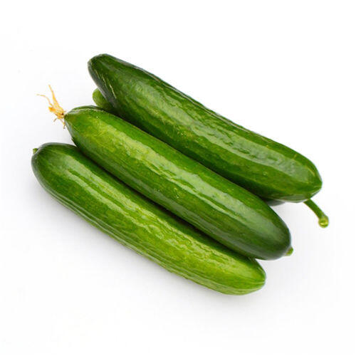 Okurka salátová polní 'Natalie' F1 - Cucumis sativus 'Natalie' F1