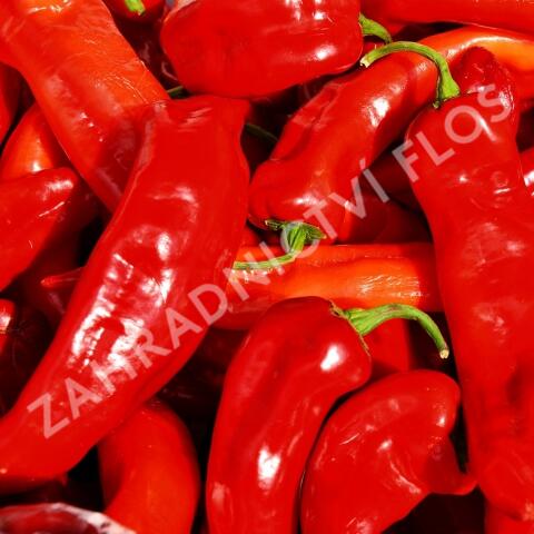 Paprika polní (kapie) 'Parade' - Capsicum annuum 'Parade'