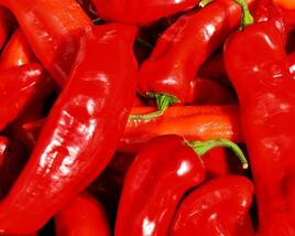 Paprika polní (kapie) 'Parade'
