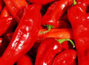 Paprika polní (kapie) 'Parade' - Capsicum annuum 'Parade'