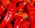 Paprika polní (kapie) 'Parade'