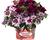 Balkonový mix Confetti Garden 'Shocking Purple'