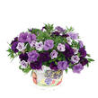 Minipetúnie 'Trixi® Blue Petticoat' - Calibrachoa 'Trixi® Blue Petticoat'