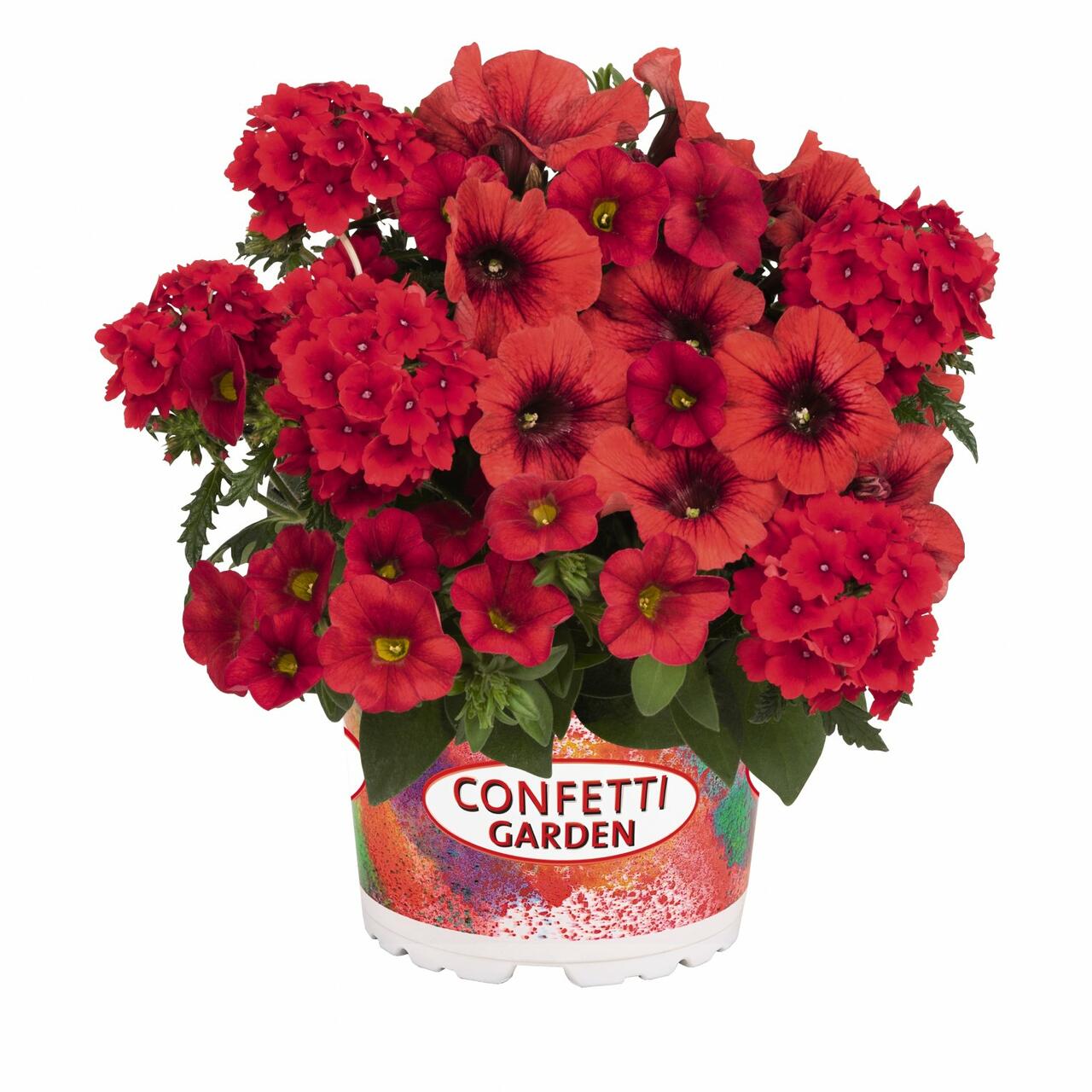 Balkonový mix Confetti Garden 'Rockin Red 2020' Zahradnictví FLOS