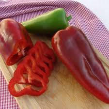 Paprika polní 'Demetra F1'