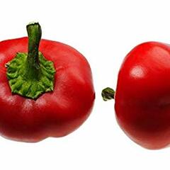 Paprika polní 'Dumas' - Capsicum annuum 'Dumas'