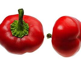 Paprika polní 'Dumas'