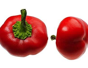 Paprika polní 'Dumas'