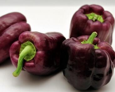 Paprika k rychlení 'Ingrid'