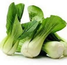 Zelí čínské 'Pak Choi' - Brassica chinensis 'Pak Choi'