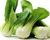Zelí čínské 'Pak Choi'