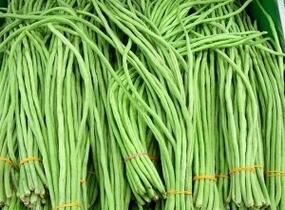 Vigna čínská 'Metro' - Vigna sinensis 'Metro'