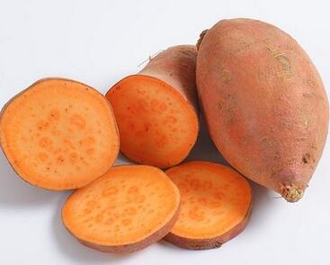 Povíjnice batátová 'Erato Deep Orange'